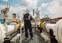 “La petroquímica se tiró para atrás por política”