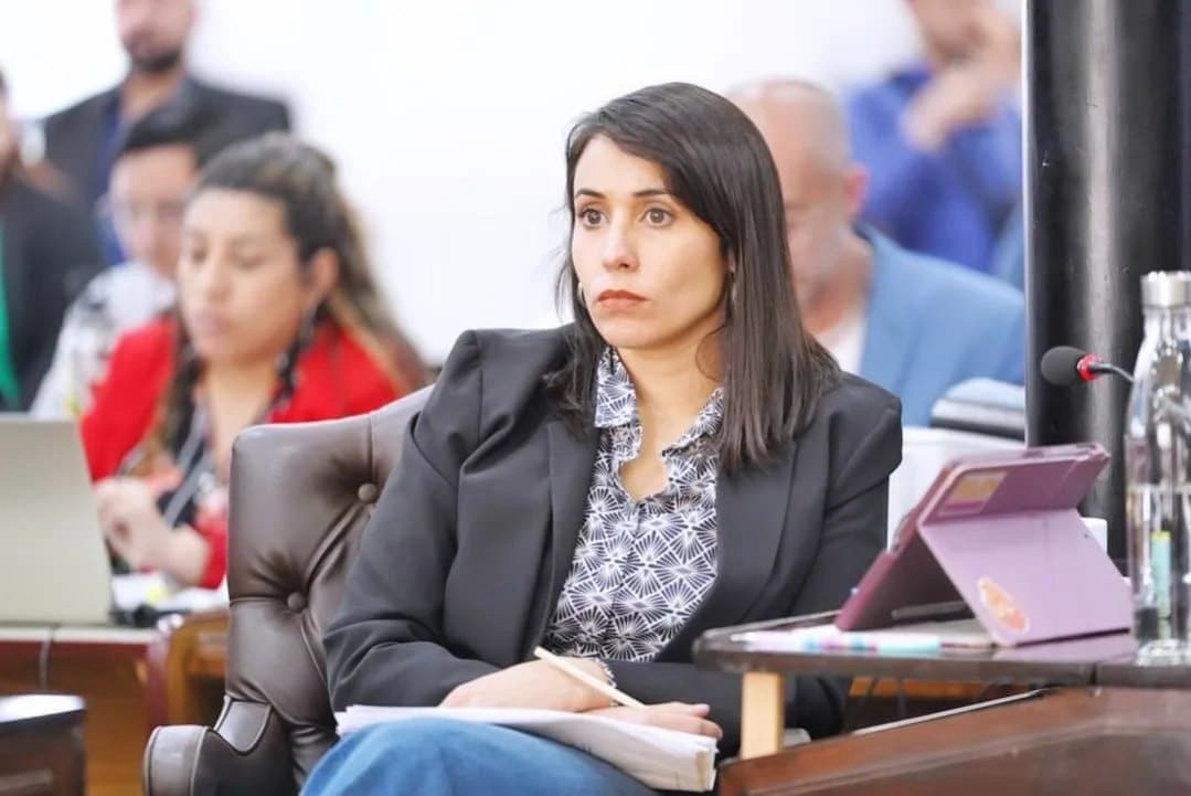 “El ataque permanente a la industria no dejó de ser un relato”