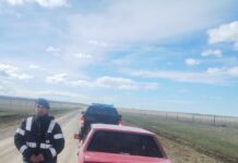 Lo detuvieron con un guanaco y dos truchas en el baúl del auto