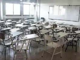 Agenda de actividades del SUTEF para esta semana: Paro, desobligaciones y marchas