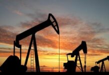 Chinos, árabes o rusos: Los capitales que desembarcan en Terra Ignis