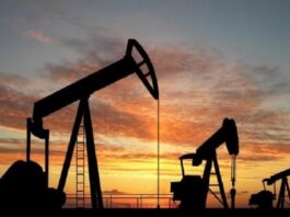 Chinos, árabes o rusos: Los capitales que desembarcan en Terra Ignis