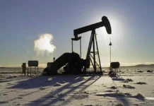 “Terra Ignis no tiene respaldo técnico ni económico para semejante producción”