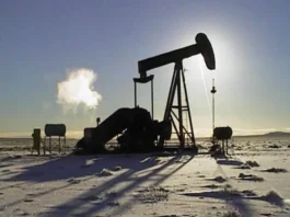 “Terra Ignis no tiene respaldo técnico ni económico para semejante producción”