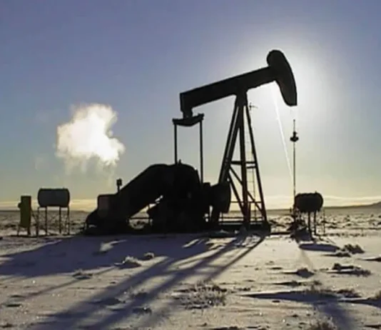 “Terra Ignis no tiene respaldo técnico ni económico para semejante producción”