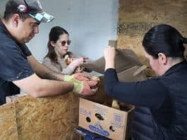 El municipio de Tolhuin entregó aves a productores