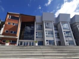 “La industria del juicio es una mentira, los Tribunales nuestros tienen muy pocas causas”