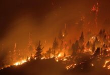 Parques Nacionales prohibió el uso de fuego en la Patagonia