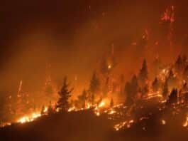 Parques Nacionales prohibió el uso de fuego en la Patagonia