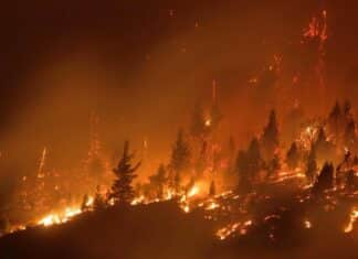 Parques Nacionales prohibió el uso de fuego en la Patagonia