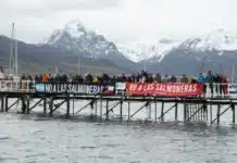 Ambientalistas señalan la “traición” de Lapadula y la actitud “perversa” del gobernador