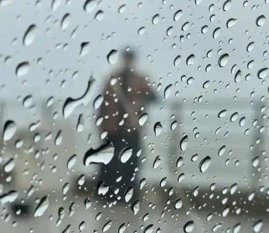 Cómo va a estar el clima este finde largo