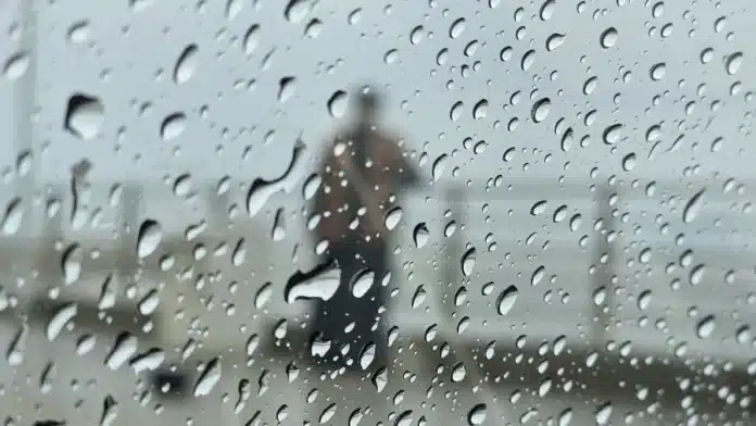 multimedia.normal.8899edb07b0fb0c0.bGx1dmlhc19ub3JtYWwud2VicA== (1)