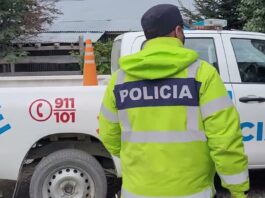 Se peleó con el primo, le robó el celular y agredió a la Policía