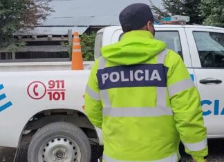 Se peleó con el primo, le robó el celular y agredió a la Policía
