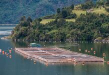 Salmoneras: “Que vengan a explicarnos aquellos que tenga la intención de invertir”