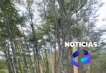 El Cerro Alarkén alambrado: Denuncian que la concesión no está reglamentada