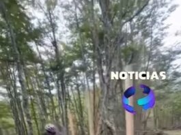 El Cerro Alarkén alambrado: Denuncian que la concesión no está reglamentada