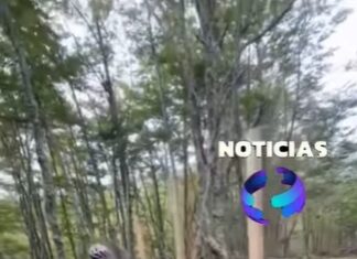 El Cerro Alarkén alambrado: Denuncian que la concesión no está reglamentada