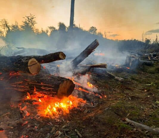 “El manejo de fuego provincial ha quedado estancando”