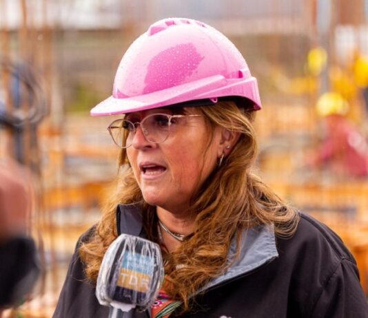 Gabriela Castillo se va de Obras Públicas