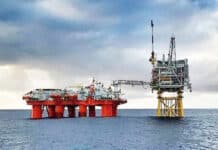 Se presentaron ocho empresas para conformar Terra Ignis