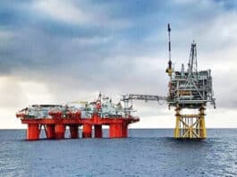 Se presentaron ocho empresas para conformar Terra Ignis