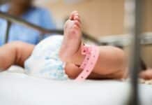 La tasa de natalidad en Tierra del Fuego cayó un 62%