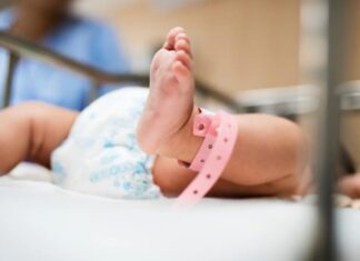 La tasa de natalidad en Tierra del Fuego cayó un 62%