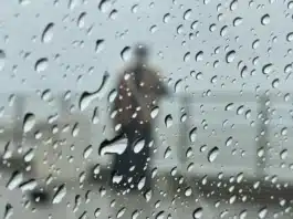 Cómo viene el clima para este finde