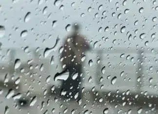 Cómo viene el clima para este finde