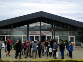 Cuáles son las carreras más convocantes de la UNTDF