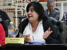 Mora cuestionó la Reforma de la Constitución pero aceptó participar del debate