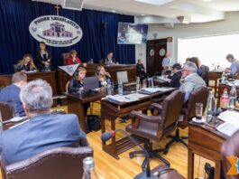 ¿Puede la Legislatura frenar la reforma constitucional?