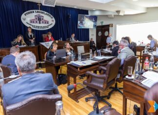 ¿Puede la Legislatura frenar la reforma constitucional?