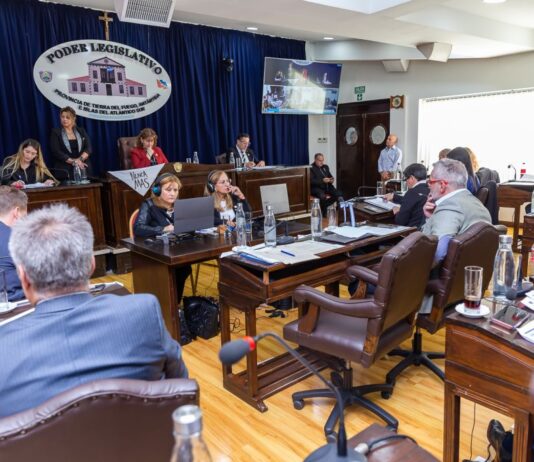 ¿Puede la Legislatura frenar la reforma constitucional?