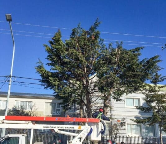 El vivero municipal de Rio Grande, continúa con el servicio de poda para vecinos y vecinas de la ciudad