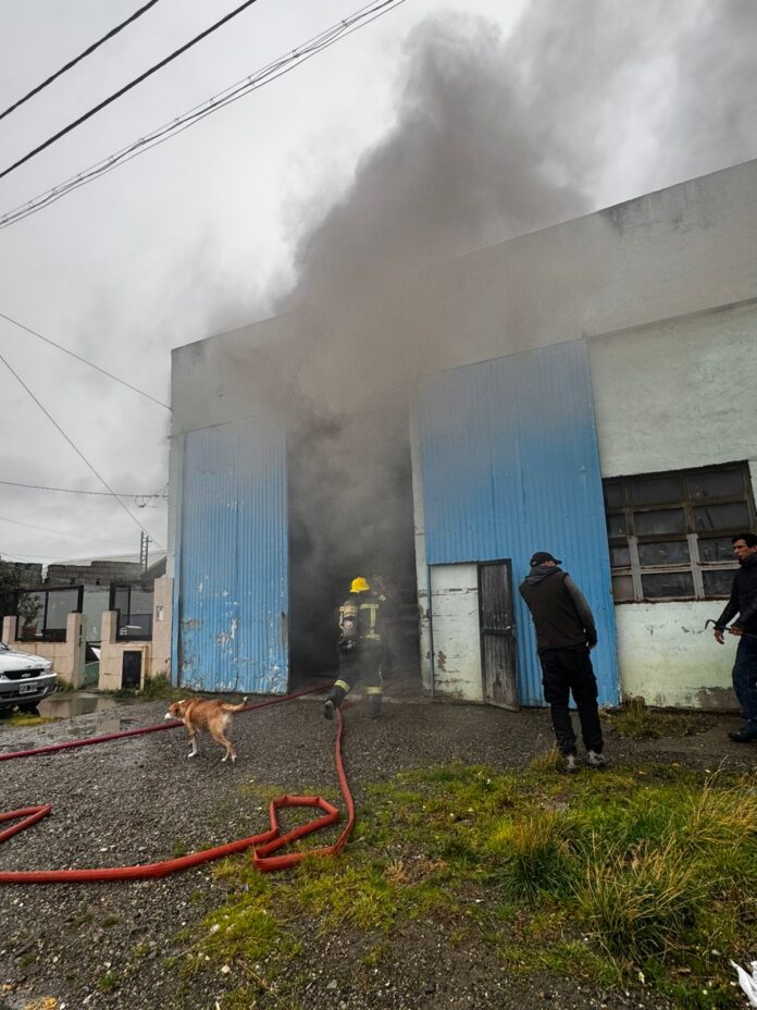 WhatsApp Image 2026-04-14 at 12.26.40