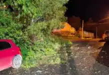 Temporal de viento en Ushuaia causó graves destrozos
