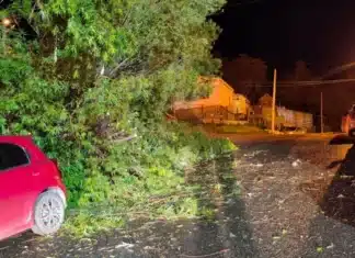 Temporal de viento en Ushuaia causó graves destrozos