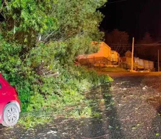 Temporal de viento en Ushuaia causó graves destrozos