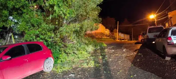 multimedia.normal.a71b4ecc4a81733c.bm9ybWFsLndlYnA=