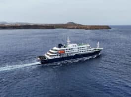Científicos del Malbrán viajarán a Ushuaia para analizar los casos de Hantavirus