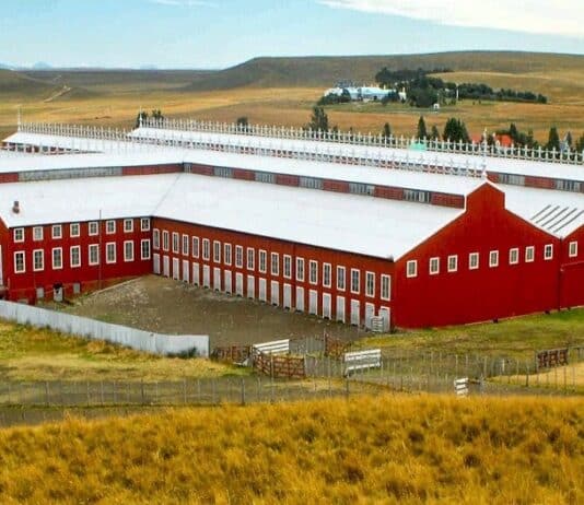 Masivo robo de ganado de Estancia María Behety