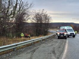 Se tiró a descansar al lado de la Ruta y casi se muere congelado