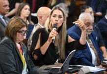 Desde el gobierno de la provincia advierten sobre el proyecto de Losada contra las “falsas denuncias”