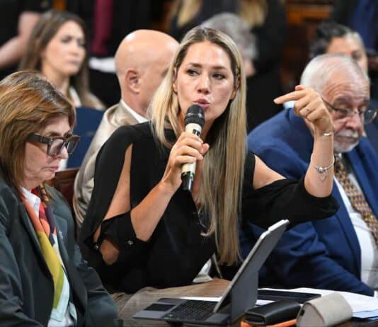 Desde el gobierno de la provincia advierten sobre el proyecto de Losada contra las “falsas denuncias”