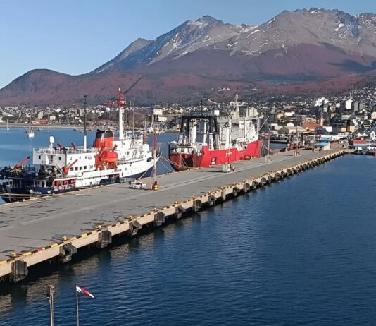 La ANPYN busca renovar el sistema de circuito cerrado de televisión del puerto de Ushuaia