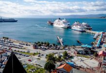La intervención en el puerto adjudicó la obra de recambio de defensas