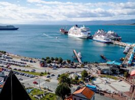 La intervención en el puerto adjudicó la obra de recambio de defensas